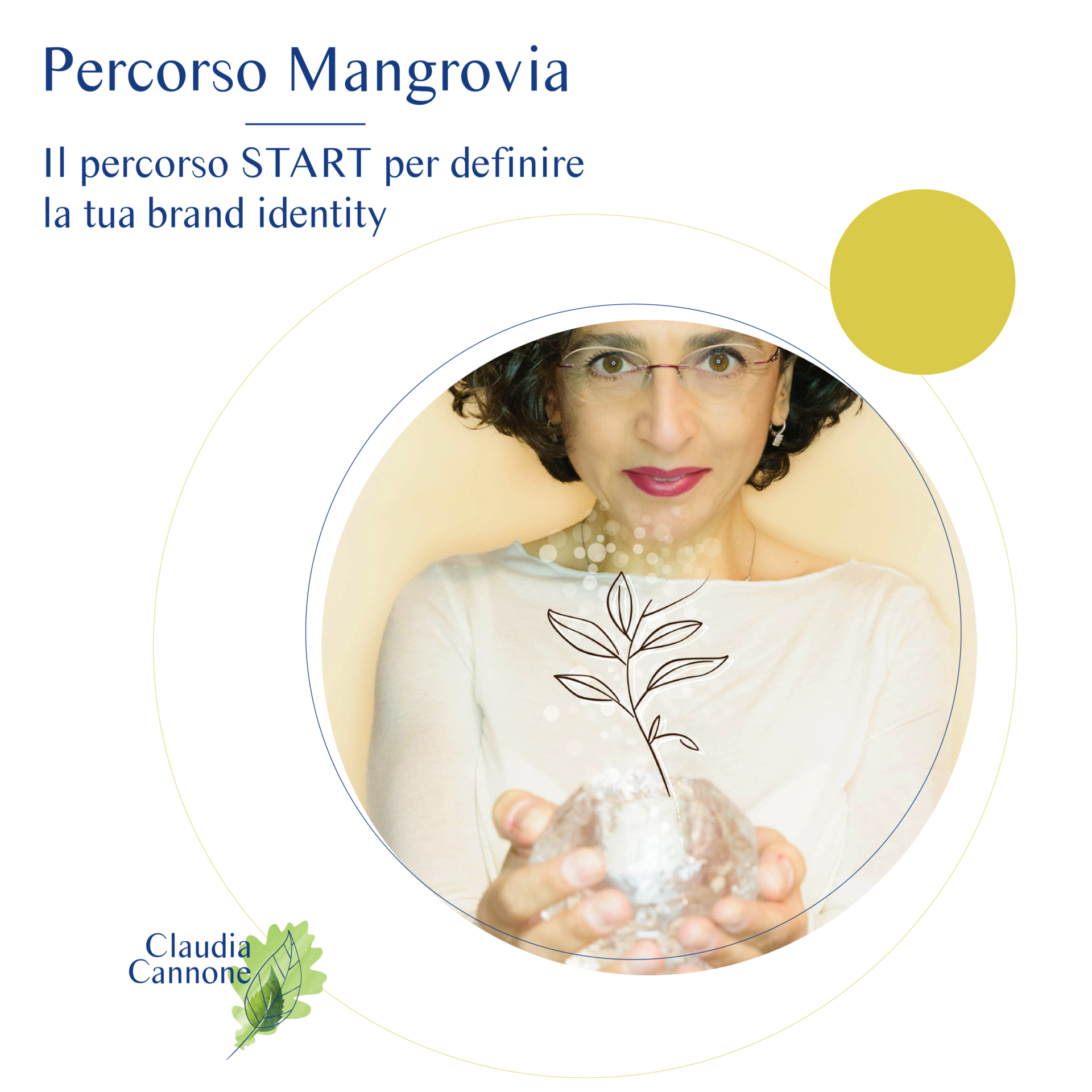 Impostazioni immagini per feed Insta 2023 Mangrovia - Mangrovia, il percorso per scoprire il tuo Perché
